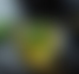 The green tea should be given to whom? 🍵🌱