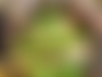 Why Does Traditional Chinese Medicine (TCM) Say Eating Salad Can Lead to Vaginal Problems?