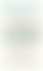 Bloom Time Quilt Challenge