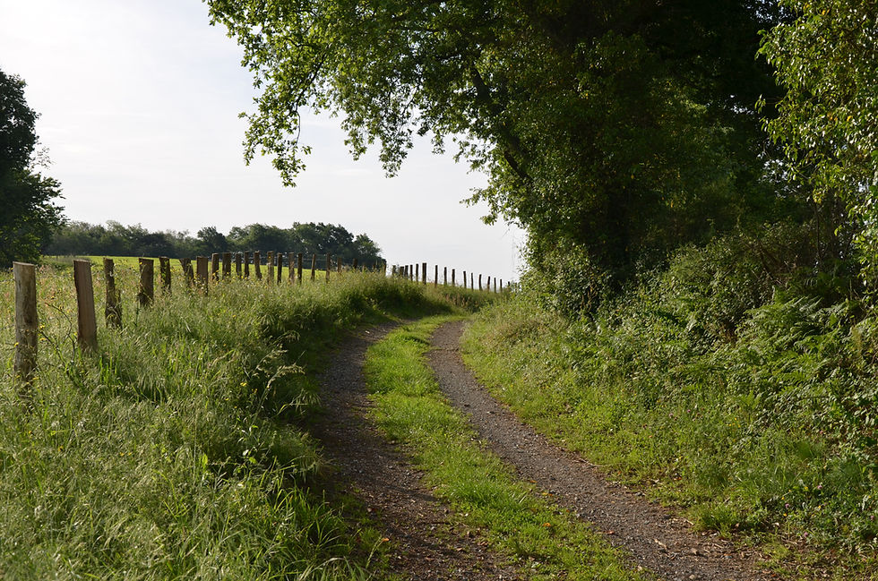 DSC_9971.JPG