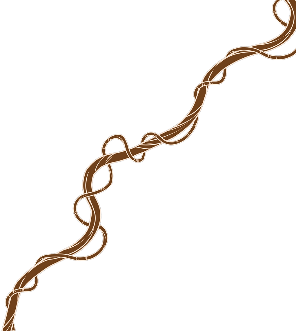 Illustration3_edited.png