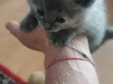 received_569450261282086.jpeg
