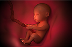 baby200px.png