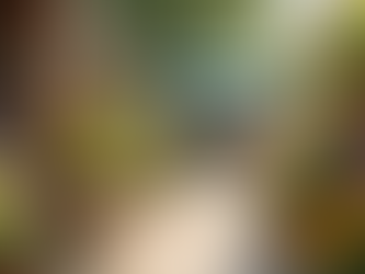 Reflections on Our Memorable Experience at the Calgary Home and Garden Show