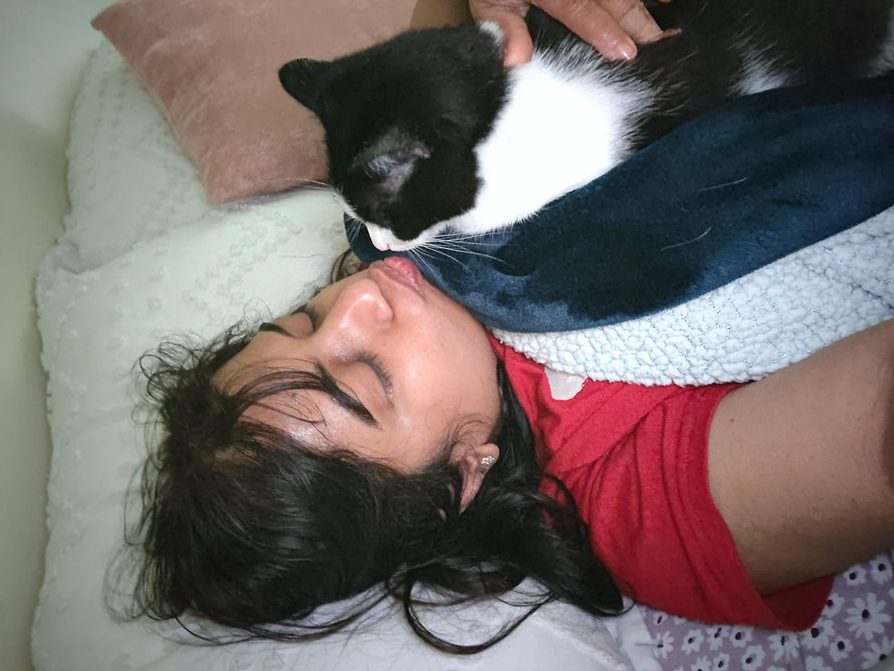 When Dumpling - a very anxious and shy cat did this for the first, time, I was elated! I knew Dumpling and I were attuned. I am her treat and catnip dealer, and she is my floof-ball. An attuned, strategic relationship.