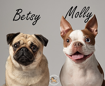 MollyBetsy.png