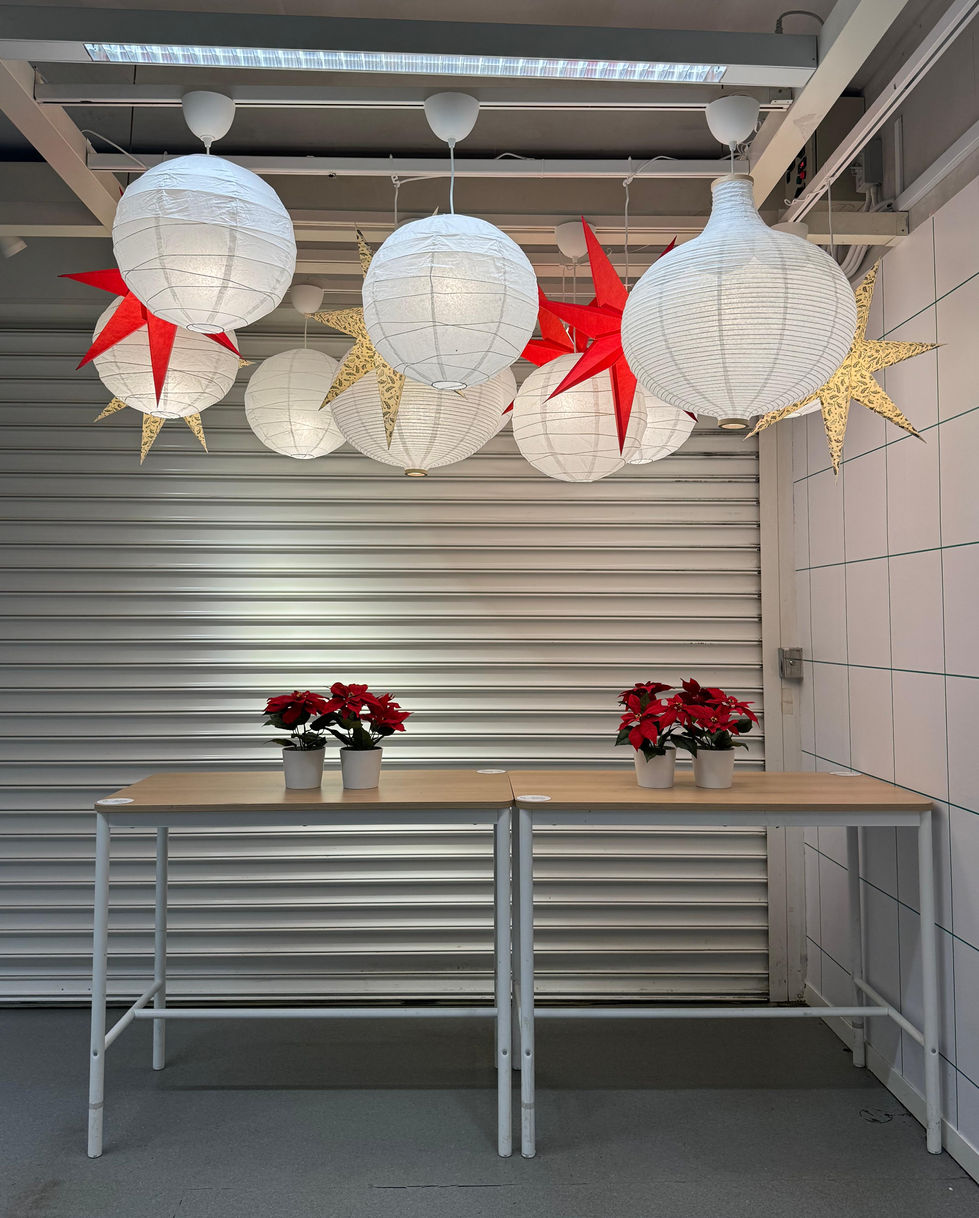 WhatsApp Image 2024-02-15 at 9.18.00 AM