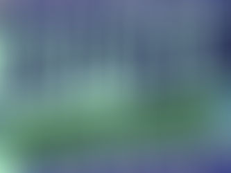 Coachy Berry Winter Games, Event