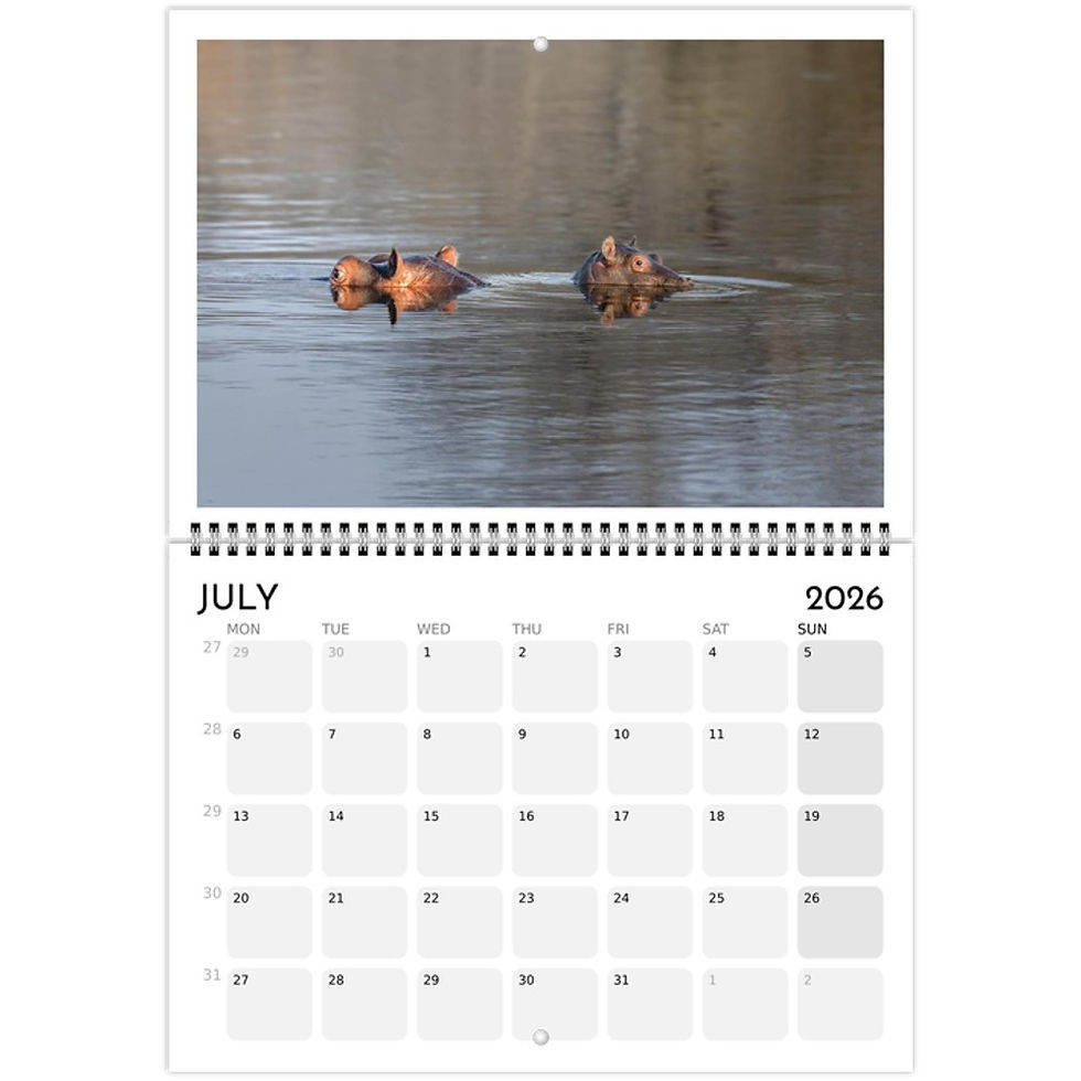 Thumbnail: 2026 Babies of the Bush Calendar (EU & Rest of World)