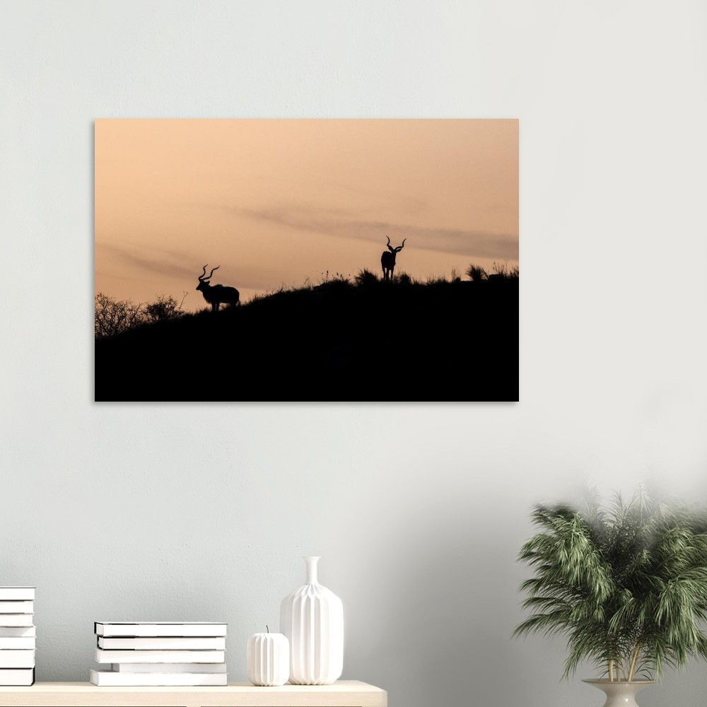 Horns on the Horizon