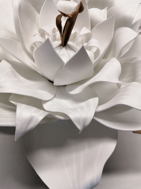 décoration florale fleurs XXL pour shooting