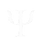 Novo Projeto (8).png