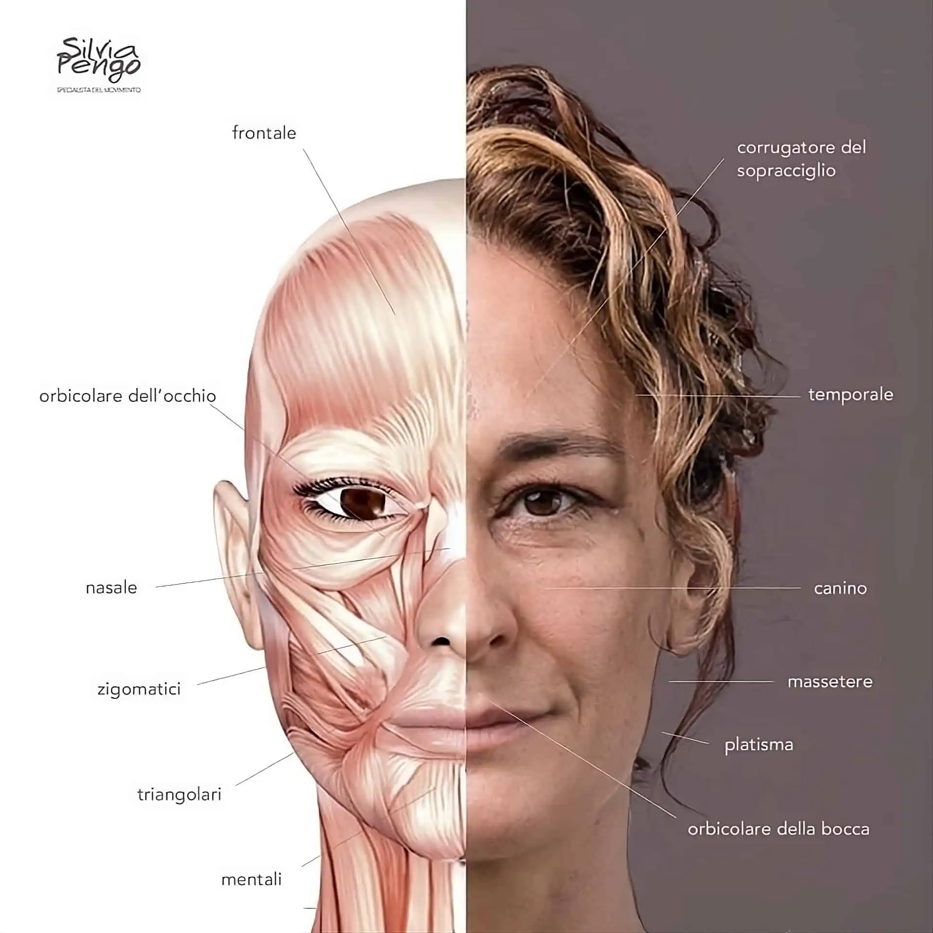 Fit & face