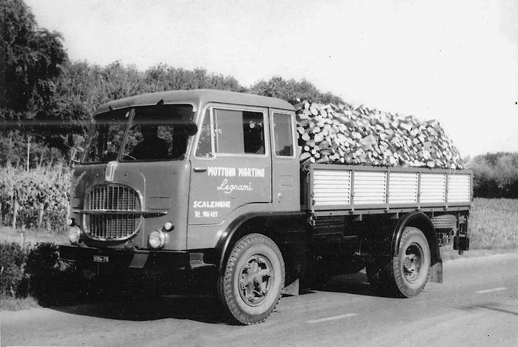 Camion Mottura Martino