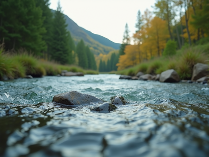 Understanding Natural Healing Therapies