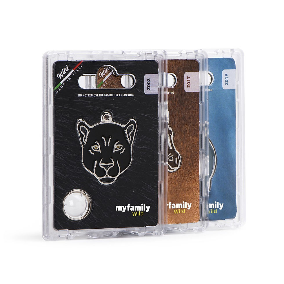 縮圖：MY FAMILY Wild Eagle ID Tag