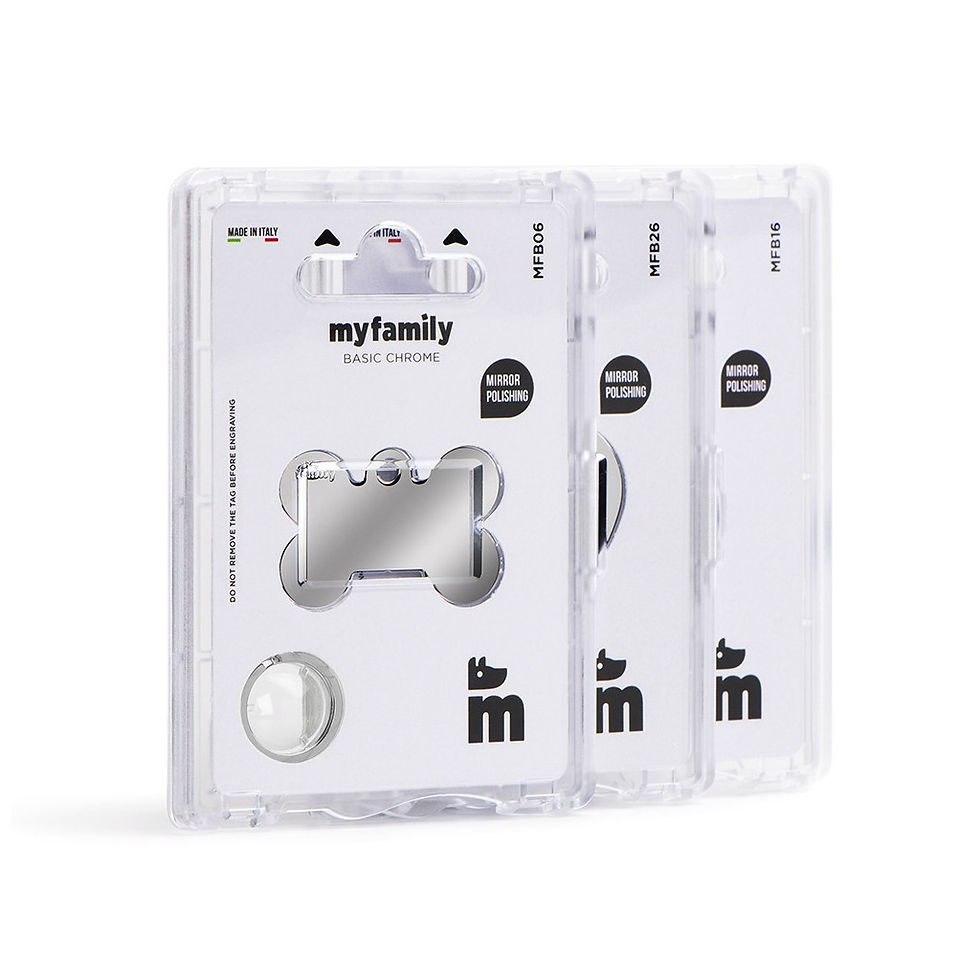 縮圖：MY FAMILY Basic Big Circle ID Tag in Chrome-Plated Brass