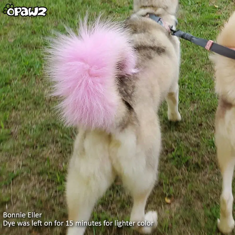 縮圖：OPAWZ Pet Semi Permanent Bubble Gum Pink