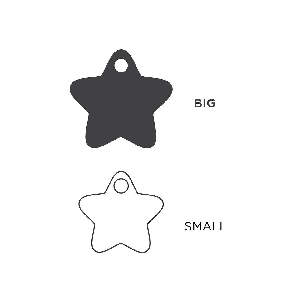 縮圖：MY FAMILY Charms Big Blue Star ID Tag
