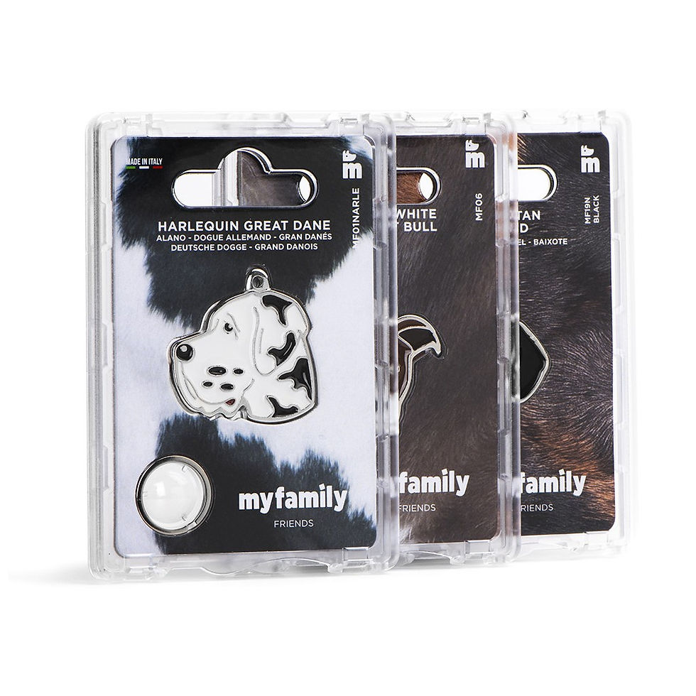 縮圖：MY FAMILY Friends Apricot Poodle ID Tag