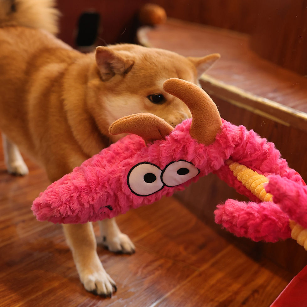 縮圖：QMONSTER 響紙龍 綠色