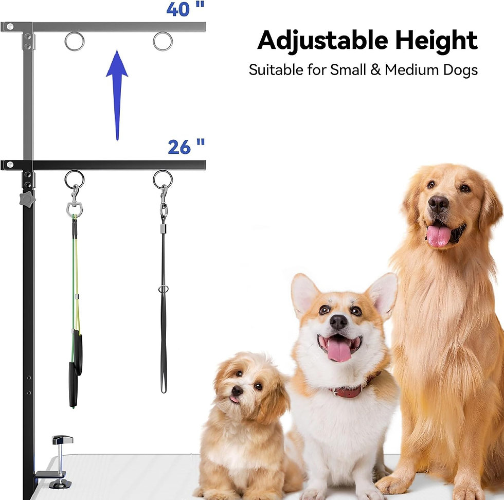 Thumbnail: Foldable Dog Grooming Arm with Clamp: Adjustable Height for Small-Medium Dogs at