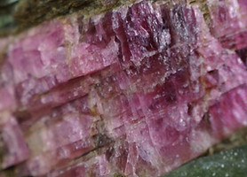 nature-3287629_1280_edited.jpg