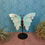Thumbnail: Amazonite Butterfly Wings #2