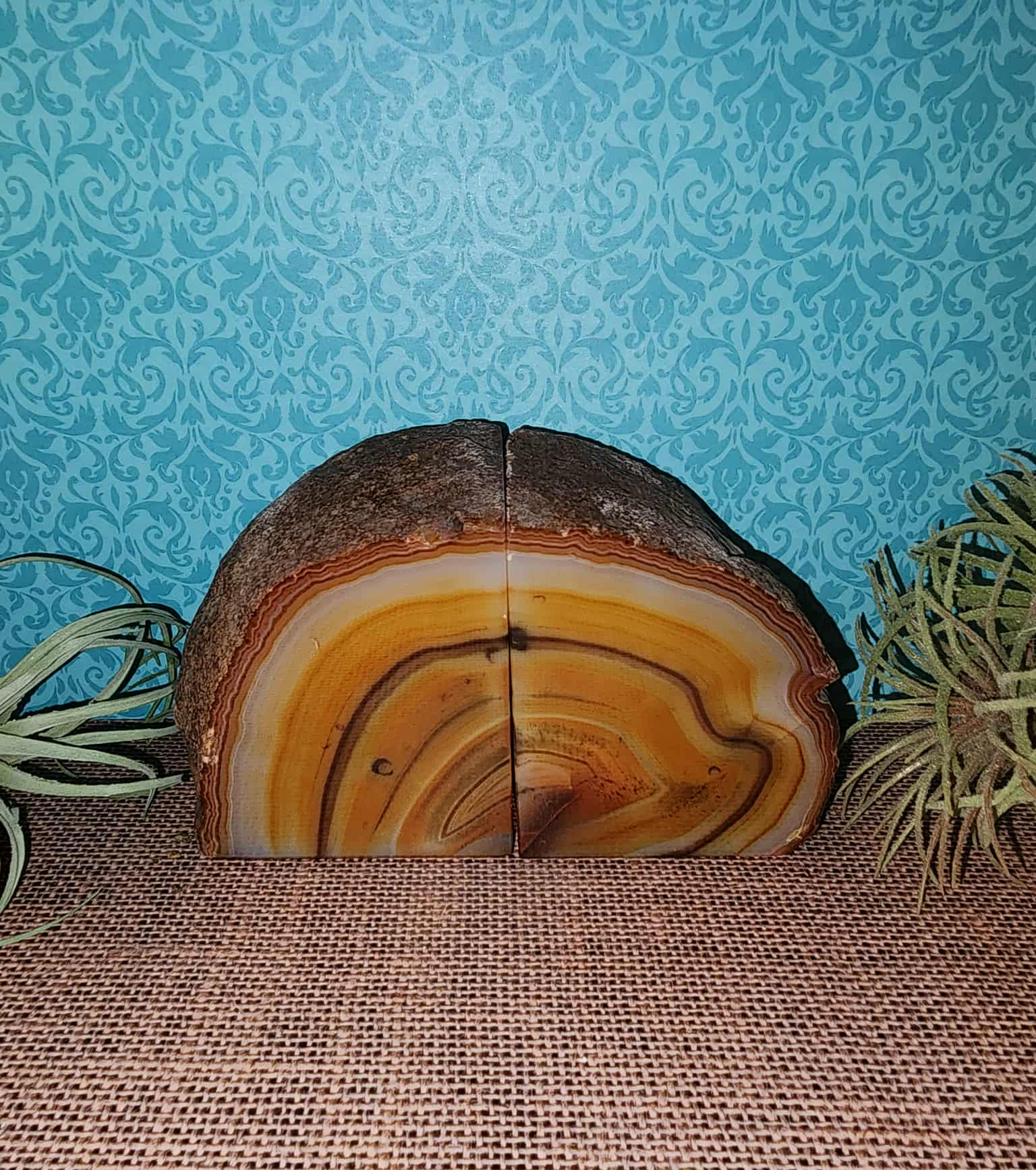 Agate Bookends