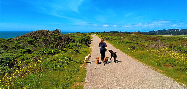 IMG_20190416_141931_2 (1)_edited.jpg