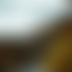 The Great Smoky Mountains