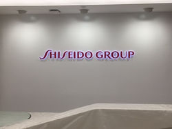 Shiseido Painted Halo Illuminated Letters