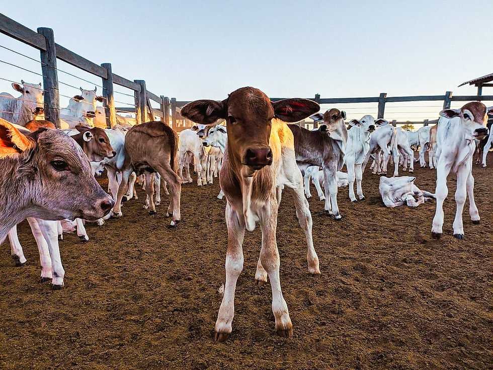 WhatsApp Image 2021-10-09 at 14.59.03 (1).jpg