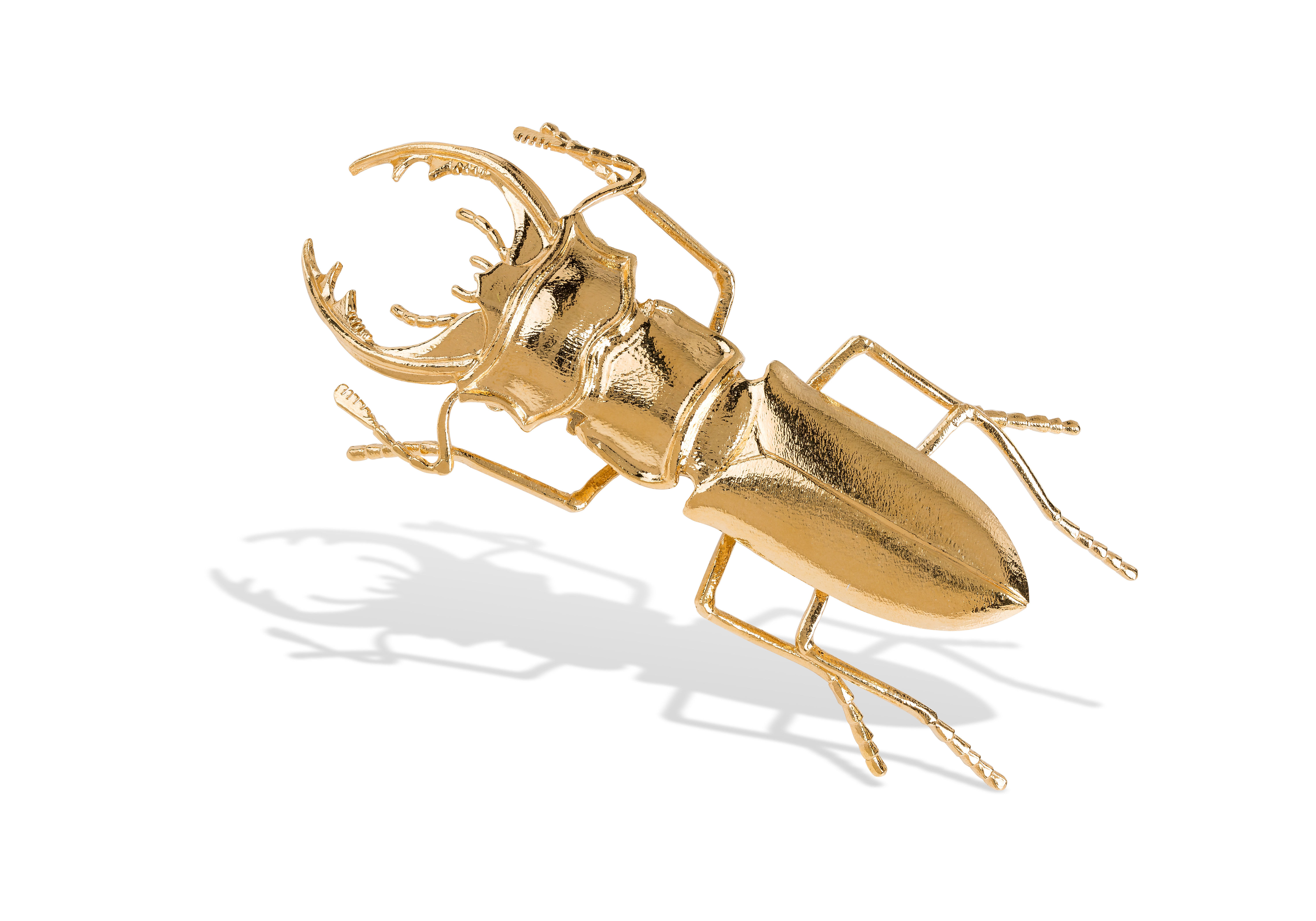 Alfinete Bruno da Rocha