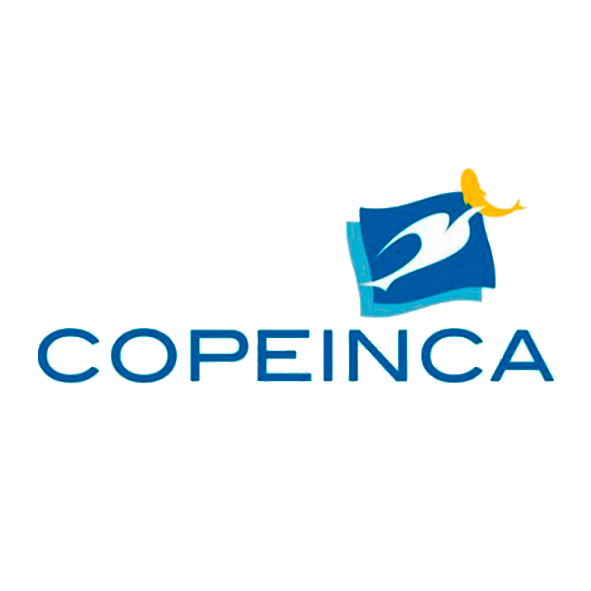 logo copeinca