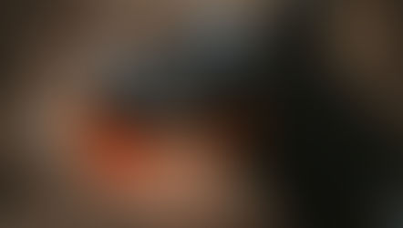 Is My Dog Reactive or Just Misunderstood? Here’s How to Tell the Difference