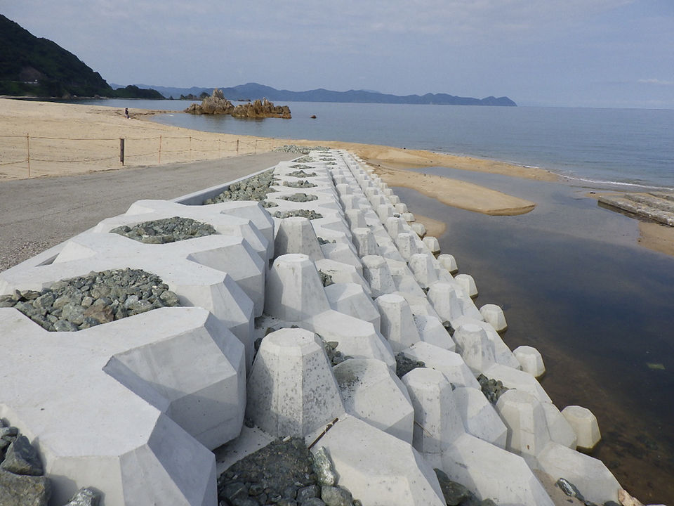 R0010878.JPG