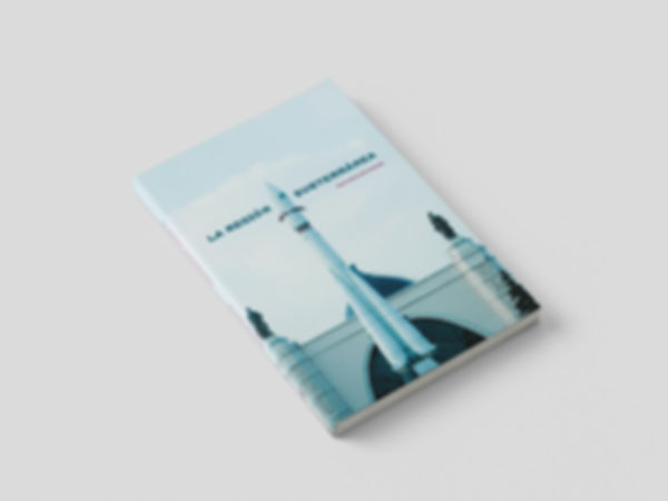 La región subterránea - Juan Nicolás Donoso