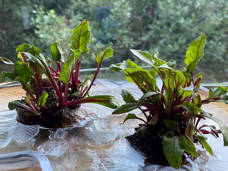 How are you holding up?