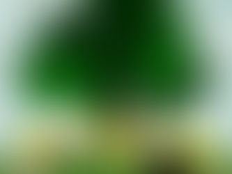 April Is Stress Awareness Month 