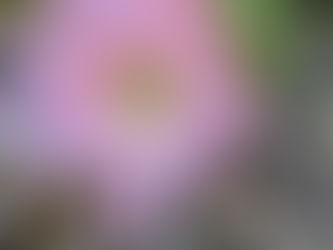 Are you replacing your electrolytes?