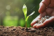 fertilisants et biostimulant.jpg