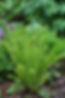 20090604_059edit.jpeg