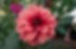 2021-08-15 19-32_0874_edited.jpg