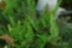 20120626_157edit.jpeg