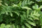 20090719_251edit.jpeg
