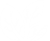 White on Transparent (2).png