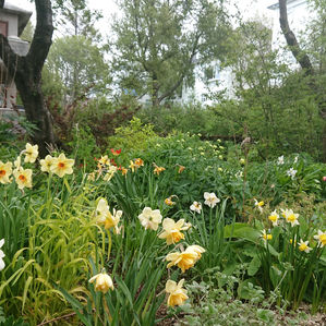 Haustlaukar - staðarval