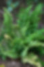 20100901_180edit.jpeg