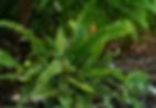 20120626_155edit.jpeg